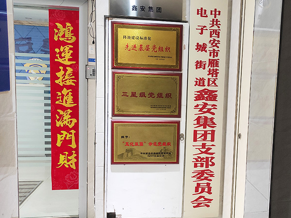 陕西鑫安安防