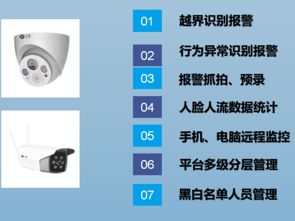 AI视频分析联网报警